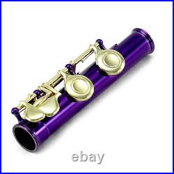 Brand New Band Approved Purple/Gold C Foot Flute With Case Bag Band Approved