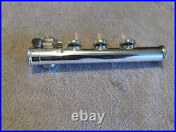 Brio Flute With Solid Silver Dana Sheridan Head joint