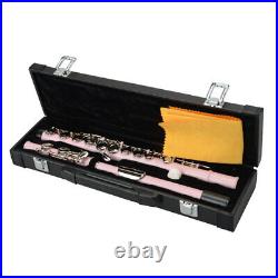 Cupronickel C 16 Closed Holes Concert Band Flute Pink