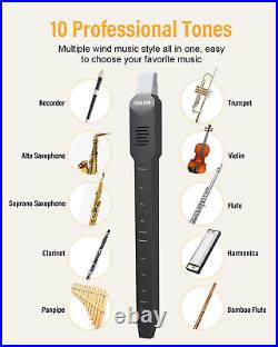 DC02 Digital Wind Instrument, Mini Electronic Wind Instrument Set with Removable