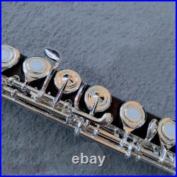 Handmade Professional Ebony Wood Flute 17 Hole Silver Key B Foot withCase 2024 NEW