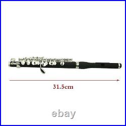 Key of C Piccolo Flute Instruments and Wooden Case Cleaning Rod