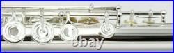 Profession Flute Engraved Open Hole B Foot C # Trill D # Roller Offset