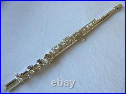 Professional 17 Open Hole Silver Plated Flute E Key B Foot