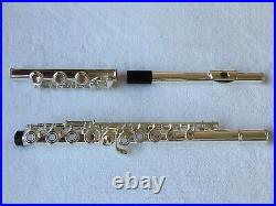 Professional 17 Open Hole Silver Plated Flute E Key B Foot