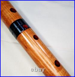 Shakuhachi Kochohou Japanese Vertical Flute 1.8shaku D 55cm Kinko Maple 7holes