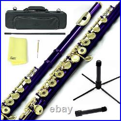 Sky Purple Gold C Open Hole Flute w Case, Stand, Cleaning Rod, Cloth and More