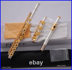 TOP Silver Gold Plated Flute C Tone B Foot 17 Open Hole Split E Offset G key