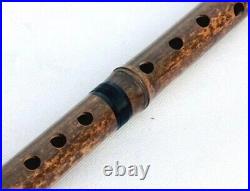 Vertical Bamboo Flute Woodwind Instrument Key of F/G Dizi 3 Section Flauta Xiao